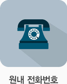 안내 전화번호